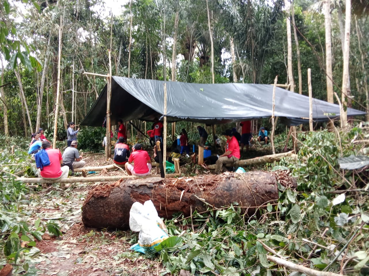 Famílias Sem Terras ocupam área na Gleba Vila Amazônia e denunciam grilagem no Assentamento PA Vila Amazônia